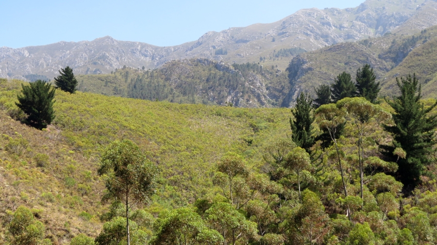 Commercial Property for Sale in Robertson Rural Western Cape